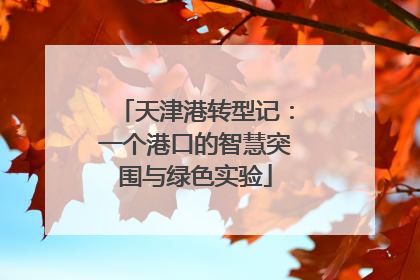 天津港转型记：一个港口的智慧突围与绿色实验