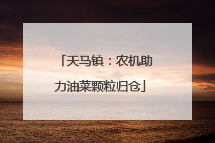 天马镇：农机助力油菜颗粒归仓