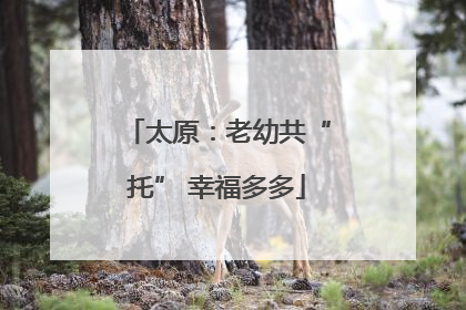 太原：老幼共“托” 幸福多多
