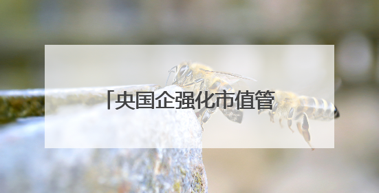 央国企强化市值管理加速估值重塑