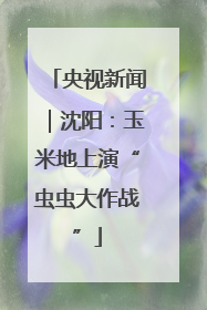 央视新闻｜沈阳：玉米地上演“虫虫大作战”