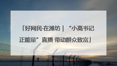 好网民·在潍坊｜“小高书记正能量”直播 带动群众致富