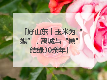 好山东丨玉米为“媒”，禹城与“糖”结缘30余年