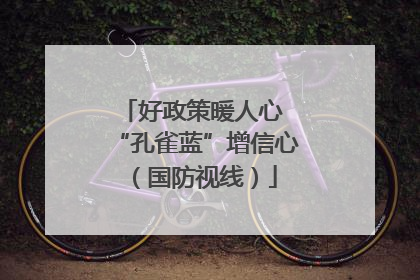 好政策暖人心 “孔雀蓝”增信心（国防视线）
