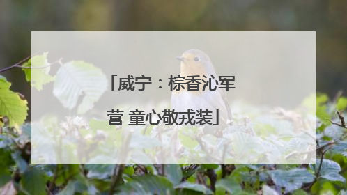 威宁：棕香沁军营 童心敬戎装