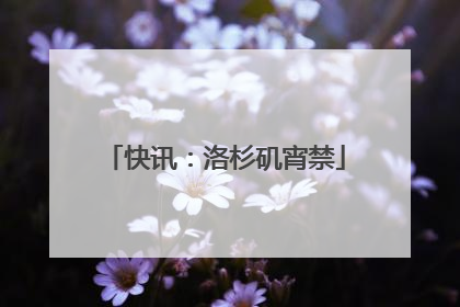 快讯：洛杉矶宵禁