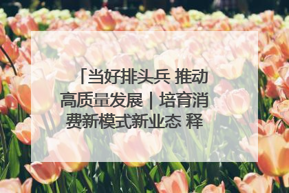 当好排头兵 推动高质量发展｜培育消费新模式新业态 释放经济增长新动能