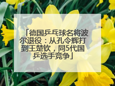 德国乒乓球名将波尔退役：从孔令辉打到王楚钦，同5代国乒选手竞争