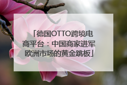 德国OTTO跨境电商平台：中国商家进军欧洲市场的黄金跳板