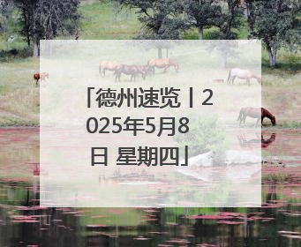 德州速览丨2025年5月8日 星期四