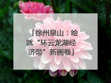 徐州泉山：绘就“环云龙湖经济带”新画卷