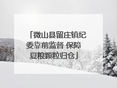 微山县留庄镇纪委靠前监督 保障夏粮颗粒归仓