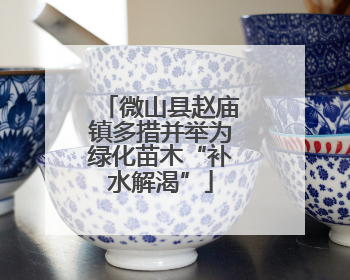 微山县赵庙镇多措并举为绿化苗木“补水解渴”