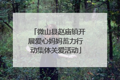 微山县赵庙镇开展爱心妈妈蓄力行动集体关爱活动