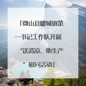 微山县驩城镇第一书记工作队开展“送清凉、助生产”慰问活动
