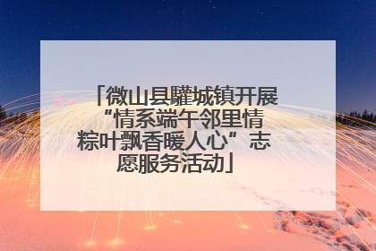 微山县驩城镇开展“情系端午邻里情 粽叶飘香暖人心”志愿服务活动