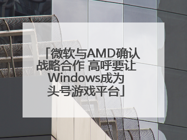 微软与AMD确认战略合作 高呼要让Windows成为头号游戏平台