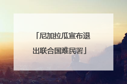 尼加拉瓜宣布退出联合国难民署