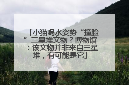 小猫喝水姿势“撞脸”三星堆文物？博物馆：该文物并非来自三星堆，有可能是它
