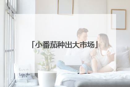 小番茄种出大市场