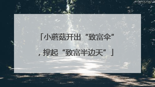 小蘑菇开出“致富伞”，撑起“致富半边天”