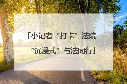 小记者“打卡”法院 “沉浸式”与法同行
