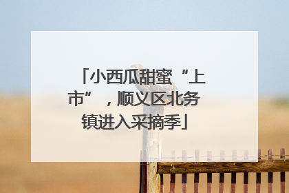 小西瓜甜蜜“上市”，顺义区北务镇进入采摘季