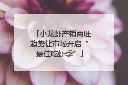 小龙虾产销两旺趋势让市场开启“最佳吃虾季”