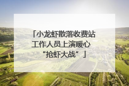 小龙虾散落收费站 工作人员上演暖心“抢虾大战”