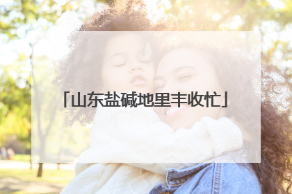山东盐碱地里丰收忙