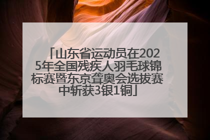 山东省运动员在2025年全国残疾人羽毛球锦标赛暨东京聋奥会选拔赛中斩获3银1铜