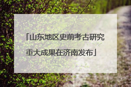 山东地区史前考古研究重大成果在济南发布