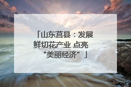 山东莒县：发展鲜切花产业 点亮“美丽经济”