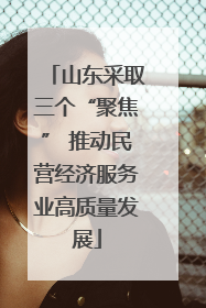 山东采取三个“聚焦” 推动民营经济服务业高质量发展