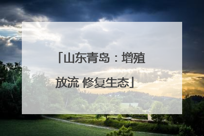 山东青岛：增殖放流 修复生态