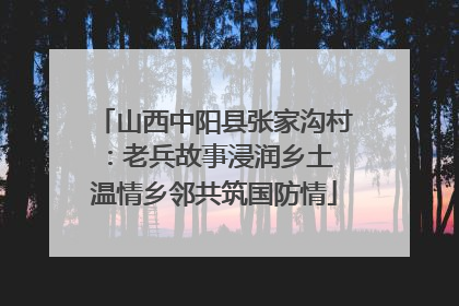 山西中阳县张家沟村：老兵故事浸润乡土 温情乡邻共筑国防情