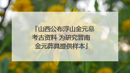 山西公布浮山金元墓考古资料 为研究晋南金元葬具提供样本