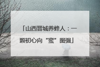 山西晋城养蜂人：一颗初心向“蜜”图强