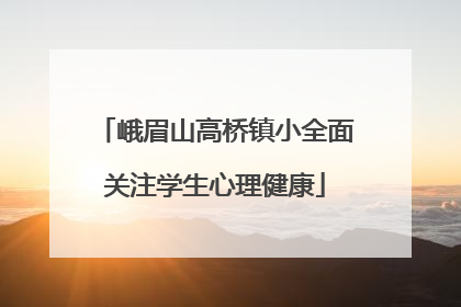 峨眉山高桥镇小全面关注学生心理健康