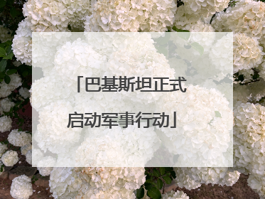 巴基斯坦正式启动军事行动