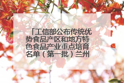 工信部公布传统优势食品产区和地方特色食品产业重点培育名单（第一批）兰州牛肉拉面位列其中