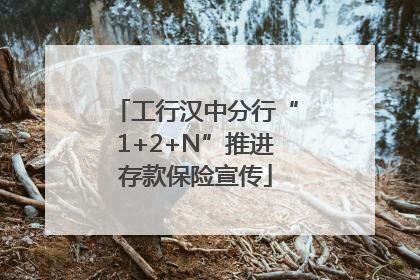 工行汉中分行“1+2+N”推进存款保险宣传