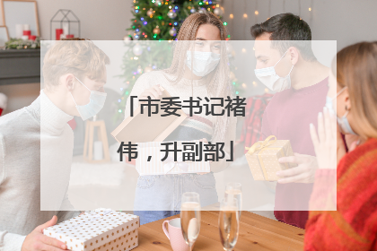市委书记褚伟，升副部