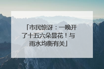 市民惊讶：一晚开了十五六朵昙花！与雨水均衡有关