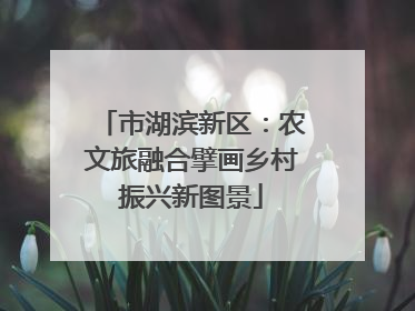 市湖滨新区：农文旅融合擘画乡村振兴新图景