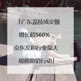 广东荔枝成交额增长超560%，京东发起行业最大规模助销行动