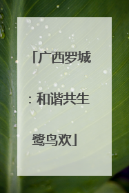 广西罗城：和谐共生鹭鸟欢