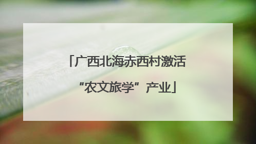 广西北海赤西村激活“农文旅学”产业