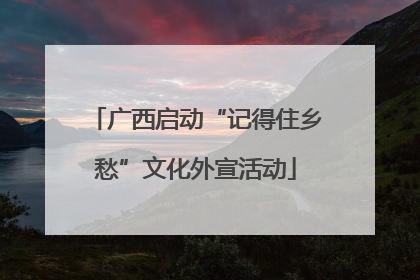 广西启动“记得住乡愁”文化外宣活动