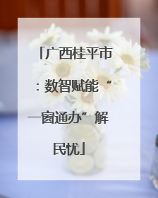 广西桂平市：数智赋能“一窗通办”解民忧
